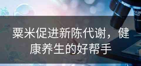 粟米促进新陈代谢，健康养生的好帮手